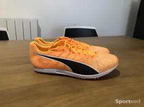 Chaussures Pointes Puma Evospeed Distance 11 neuf Ajouté le : 08/03/2023