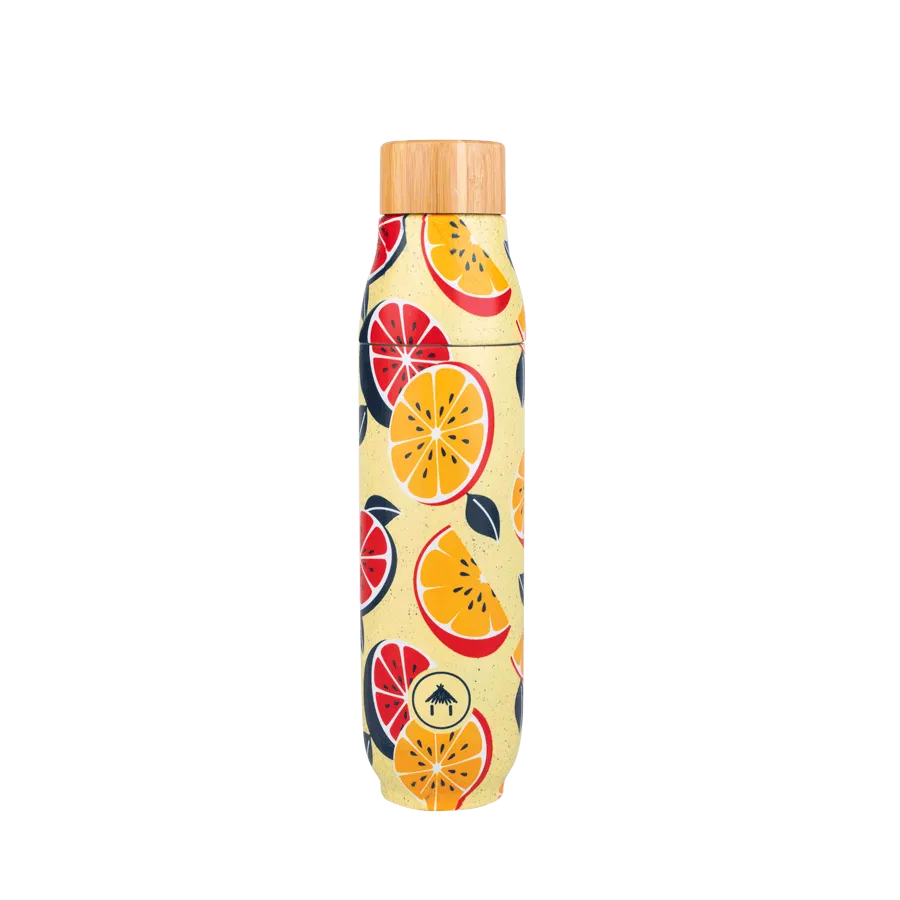 Flammarion - Gourde - 1L